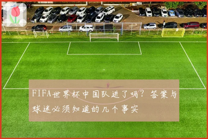 FIFA世界杯中国队进了吗?答案与球迷必须知道的几个事实