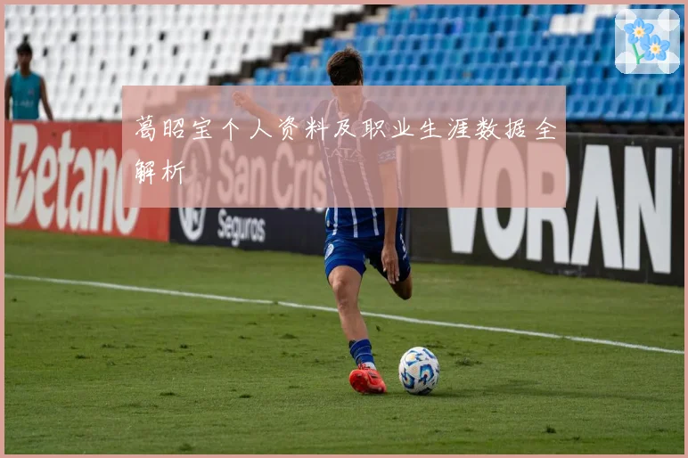 葛昭宝个人资料及职业生涯数据全解析