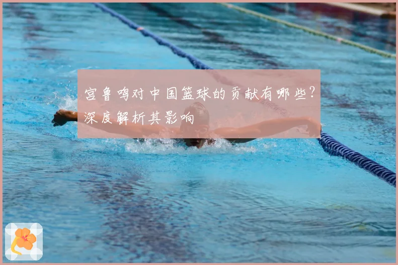 宫鲁鸣对中国篮球的贡献有哪些？深度解析其影响
